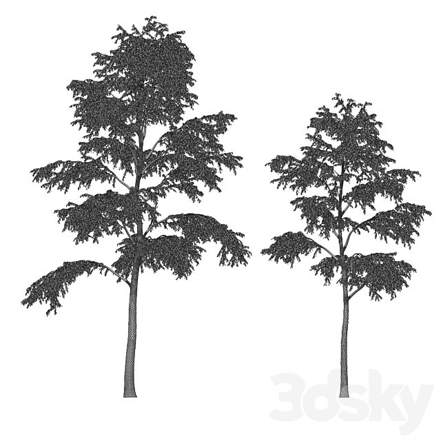 3dsky Free Download