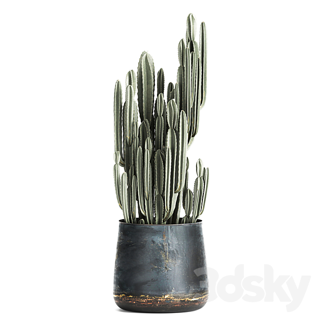 3dsky Free Download