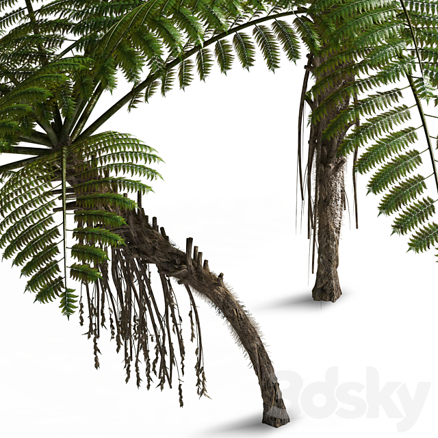 3dsky Free Download