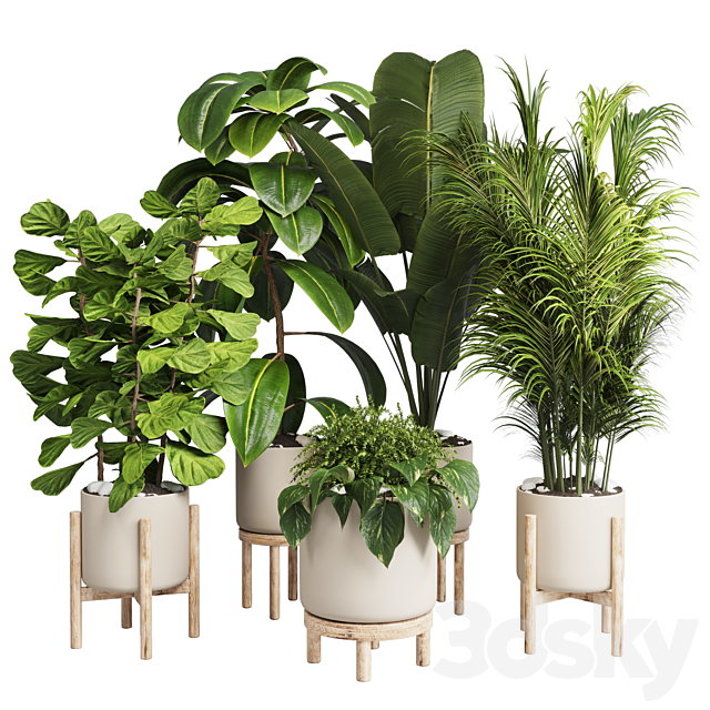 collection Indoor plant 30 -wood vase 3DSMax File - thumbnail 1