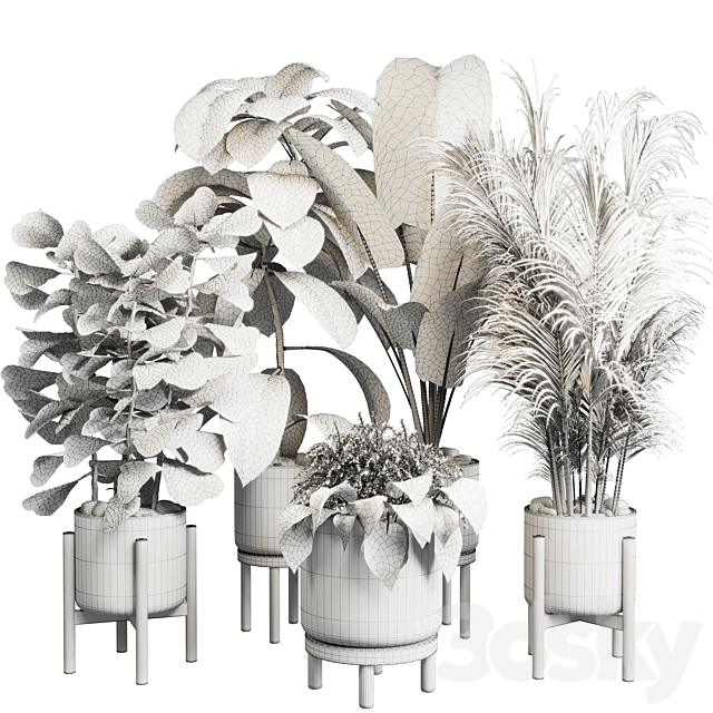 collection Indoor plant 30 -wood vase 3DSMax File - thumbnail 4