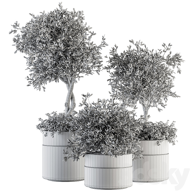 indoor Plant Set 193 – Tree in pot 3DSMax File - thumbnail 5