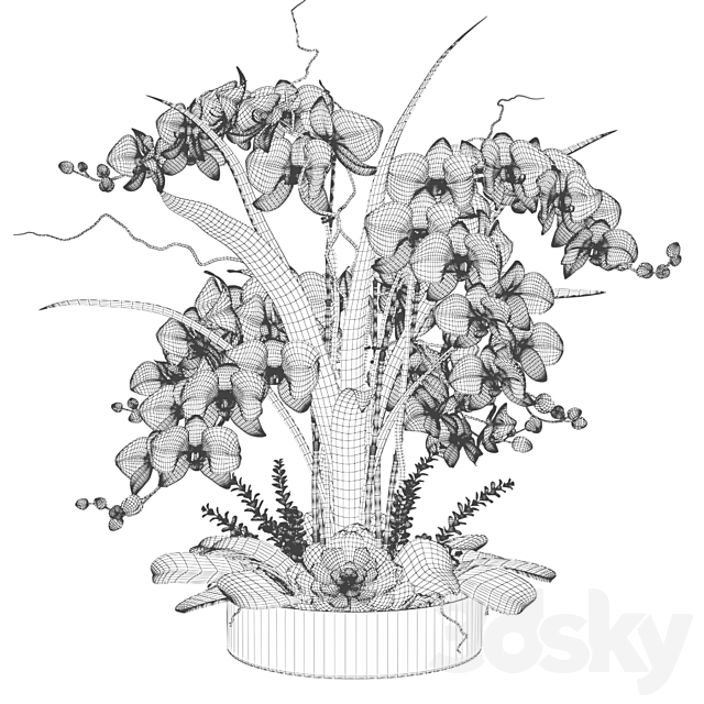 3dsky Free Download