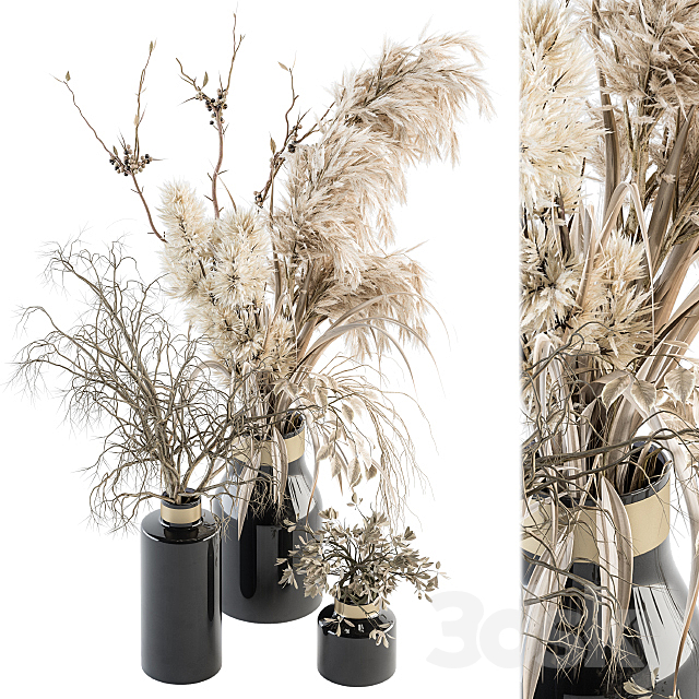 Dry plants 70 – Dried Pampas Set 3DSMax File - thumbnail 1