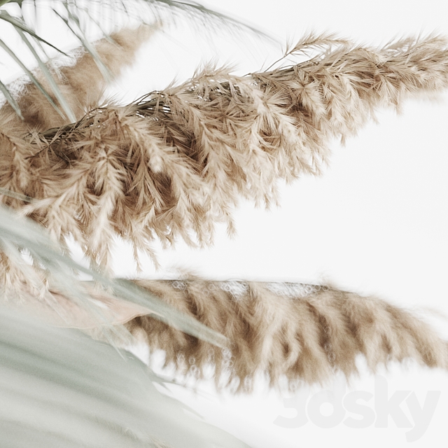Hanging decor of palm leaves and pampas grass 3dsky