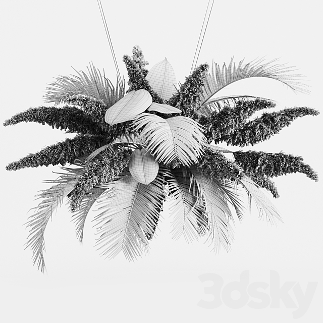 Hanging decor of palm leaves and pampas grass 3dskyfree