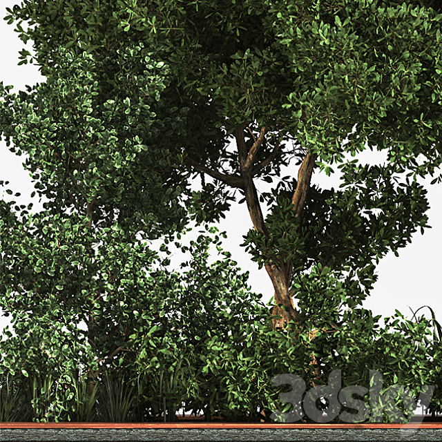 3dsky Free Download
