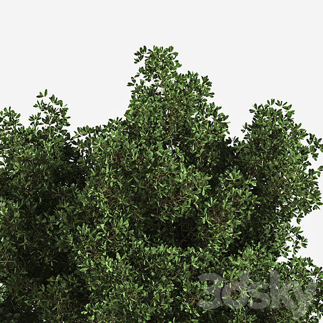 3dskyfree