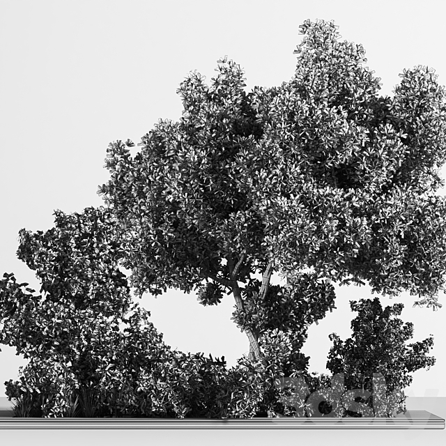 3D Model