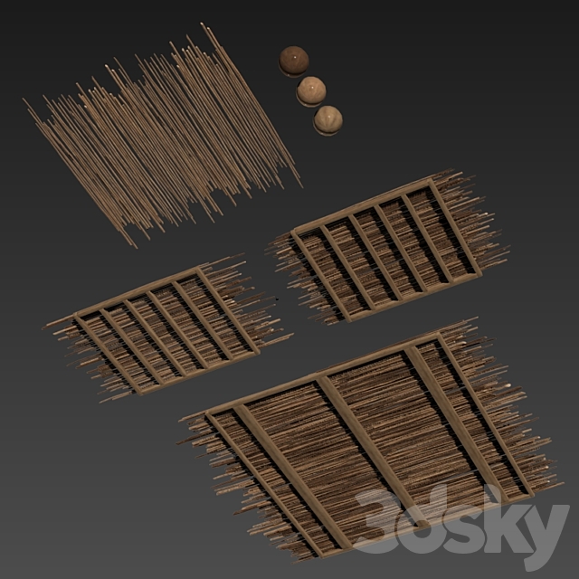 3D Model