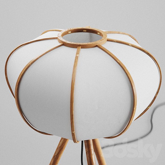 3dsky