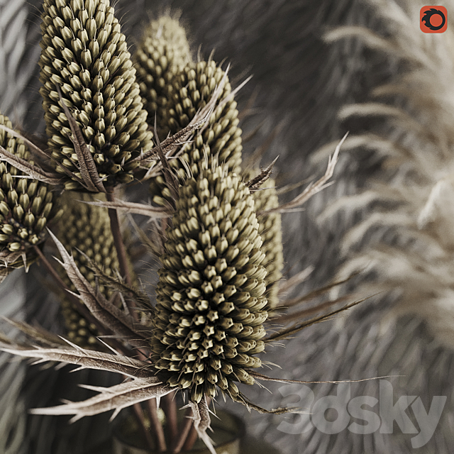 3dsky Free Download