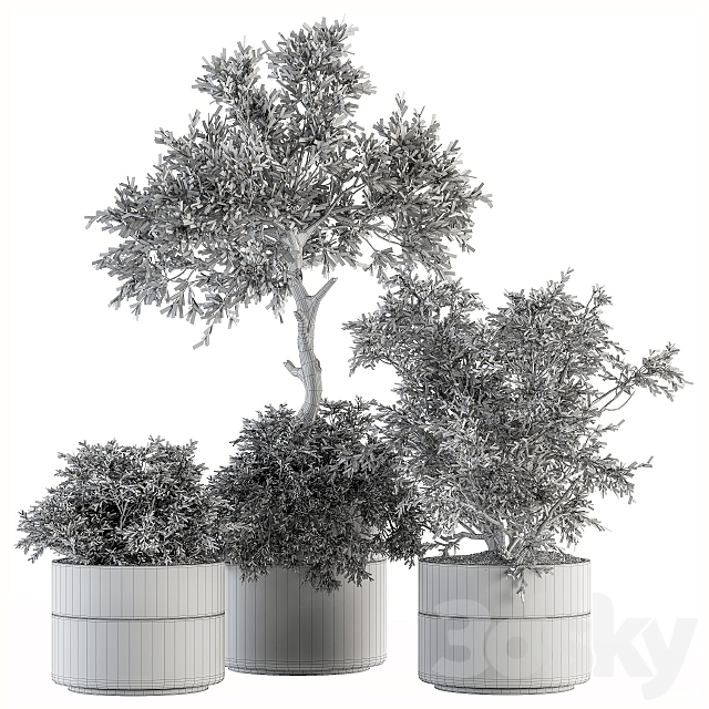 indoor Plant Set 200 – Tree in pot 3DSMax File - thumbnail 5