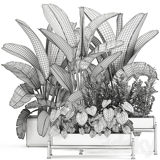 Collection of plants in potted flower beds with Thickets. Strelitzia. banana. Zamiokulkas. Philodendron. jungle. Set 914. 3DSMax File - thumbnail 6