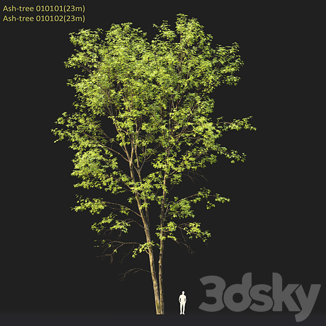 3dsky