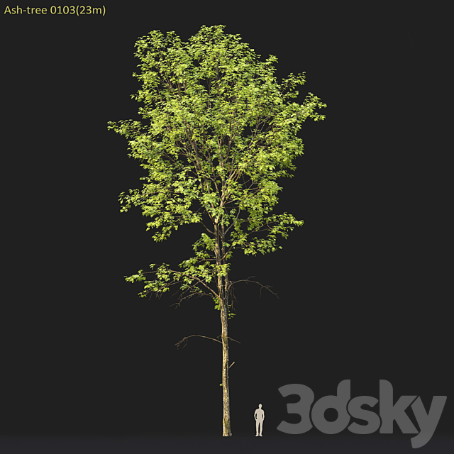 3dskyfree