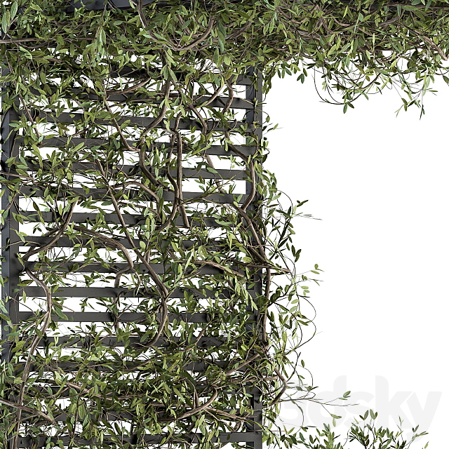 Garden set ivy and Bush - Garden Set 13 3d