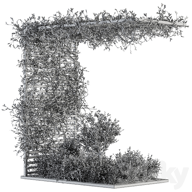 Garden set ivy and Bush - Garden Set 13 3dsky