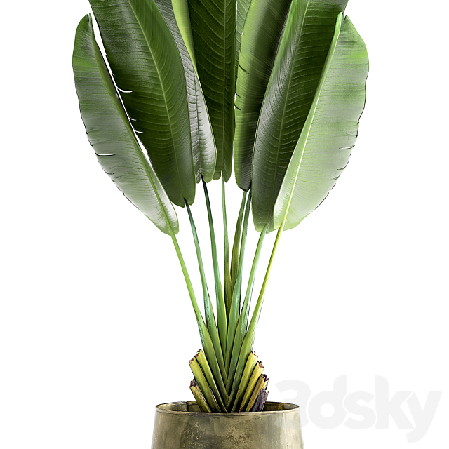 3dsky Free Download