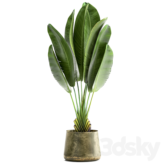 3dsky