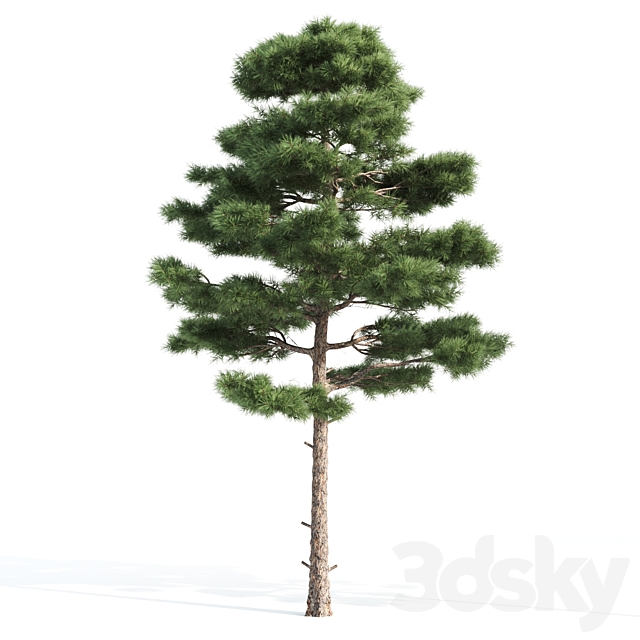 3dsky Free Download