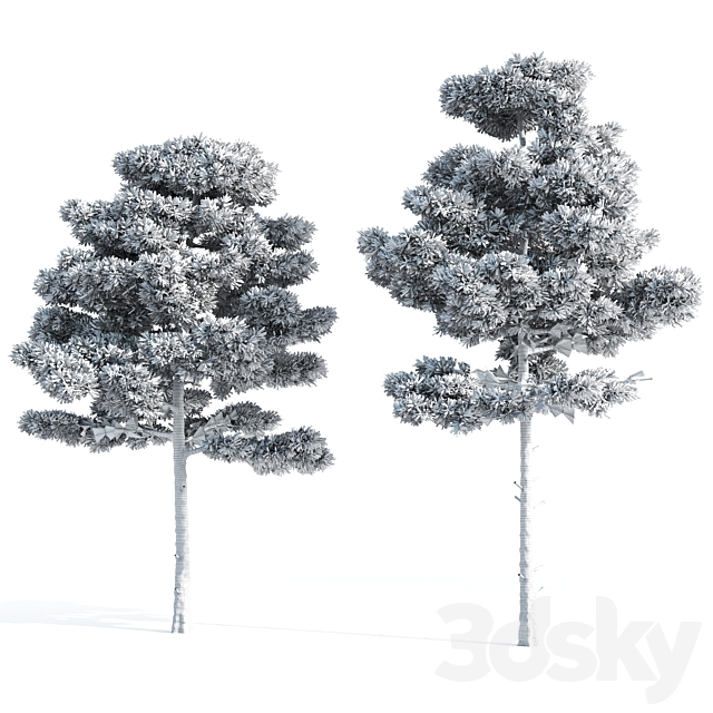 3dskyfree