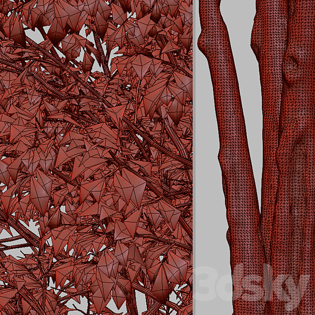 Set of Downy Birch Trees (Betula pubescens) (2 Trees) 3DSMax File - thumbnail 5