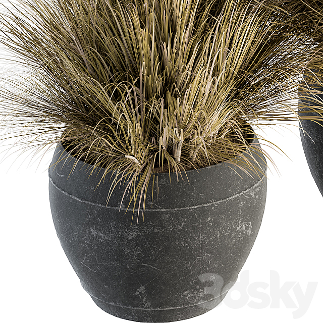 Outdoor Plant Set 204 – Dried Grass in Pot 3DSMax File - thumbnail 3