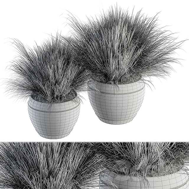 Outdoor Plant Set 204 – Dried Grass in Pot 3DSMax File - thumbnail 4