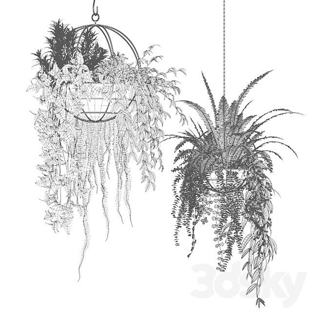Compositions of ampelous plants in hanging pots # 3 3d
