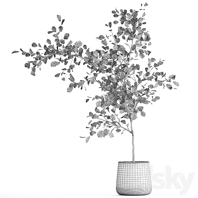 Decorative small Linden tree. Hazel in a rusty metal pot. Set 953. 3DSMax File - thumbnail 7