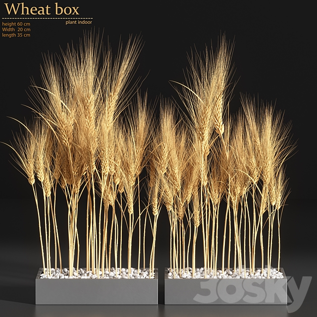 Wheat Box 3DSMax File - thumbnail 1