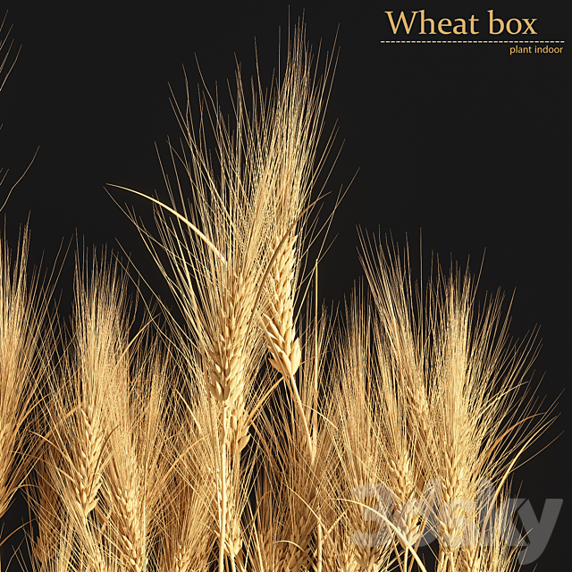 Wheat Box 3DSMax File - thumbnail 3