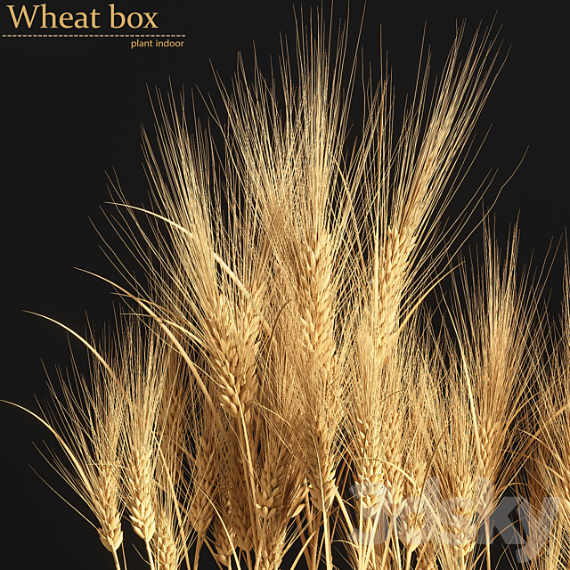 Wheat Box 3DSMax File - thumbnail 4