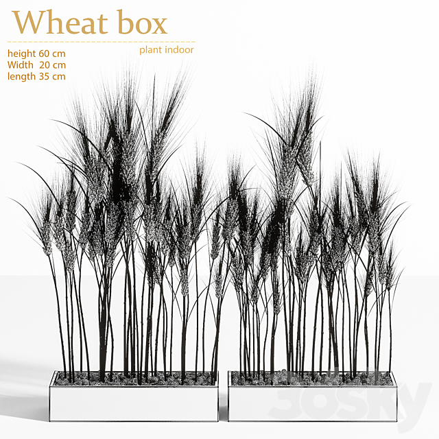 Wheat Box 3DSMax File - thumbnail 5