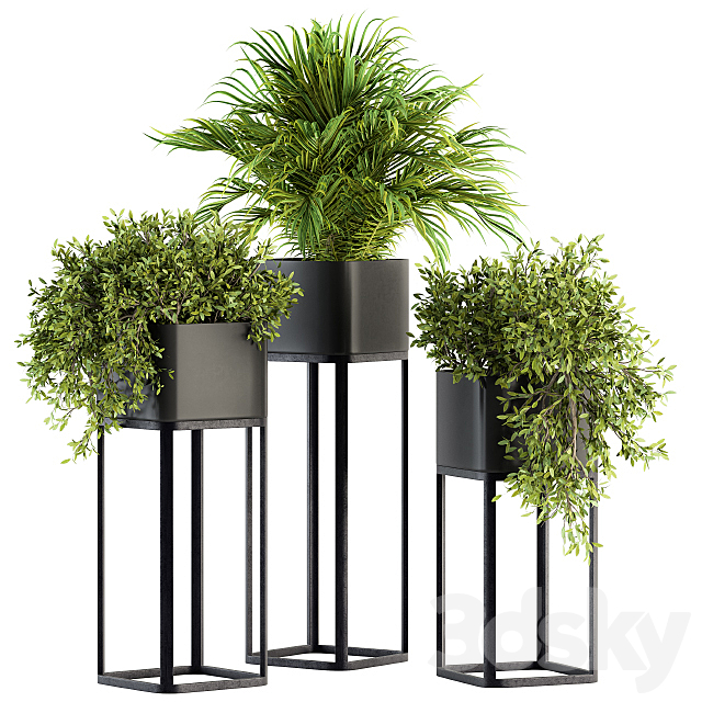 indoor Plant Set 211 – Plant Box Stand 3DSMax File - thumbnail 1