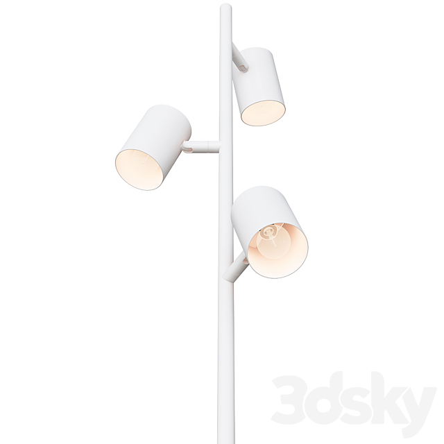 3d