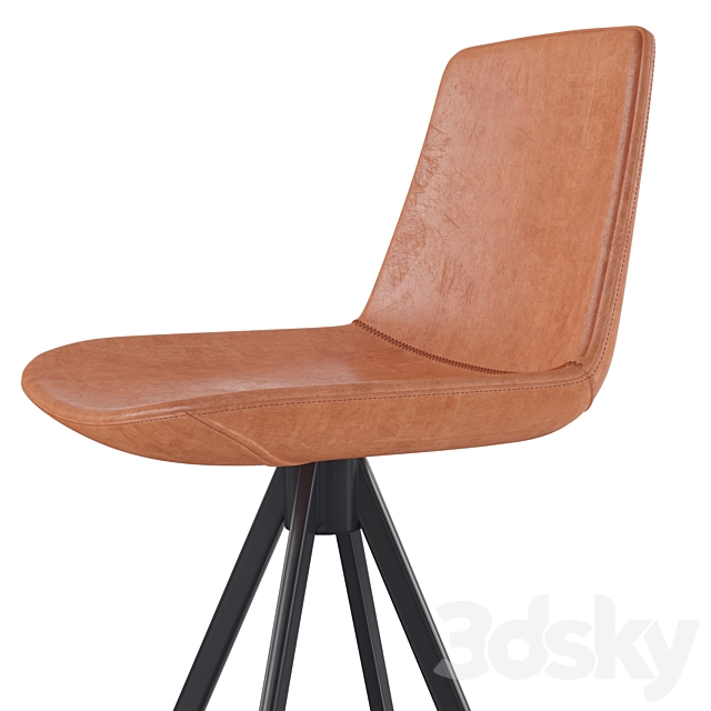 3D Model