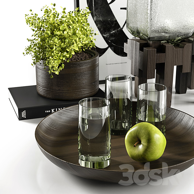Decorative vases with plants 3d