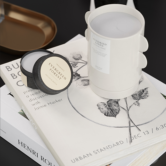 3D Model