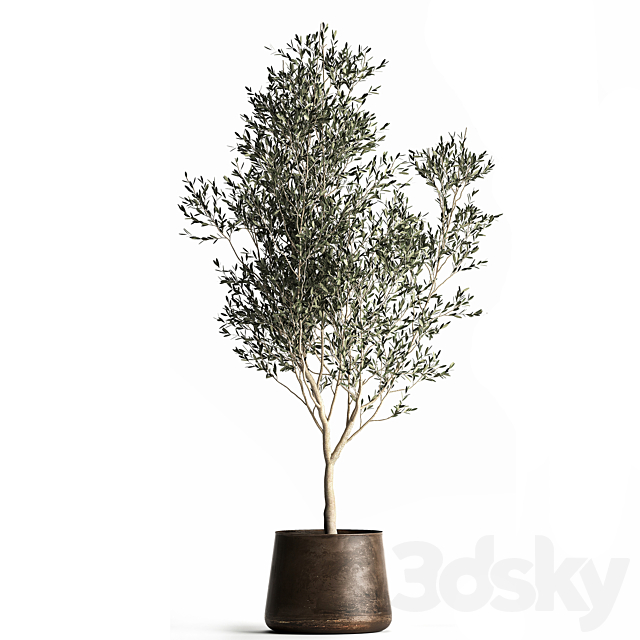 3dsky Free Download