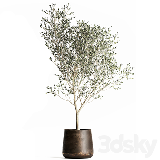3dskyfree