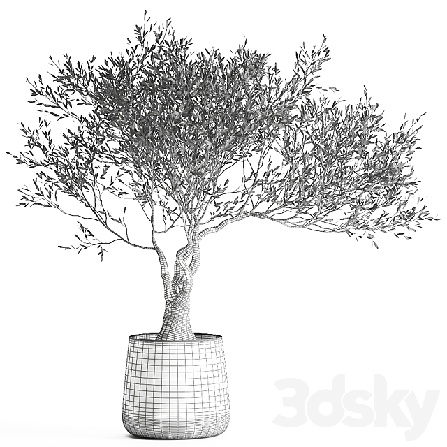A small olive tree in a rusty metal pot and flowerpot.  969. 3DSMax File - thumbnail 7