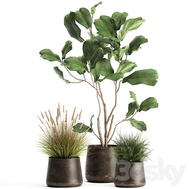 A collection of potted plants with a small Ficus lyrata tree with large leaves. Set 971. 3DSMax File - thumbnail 1