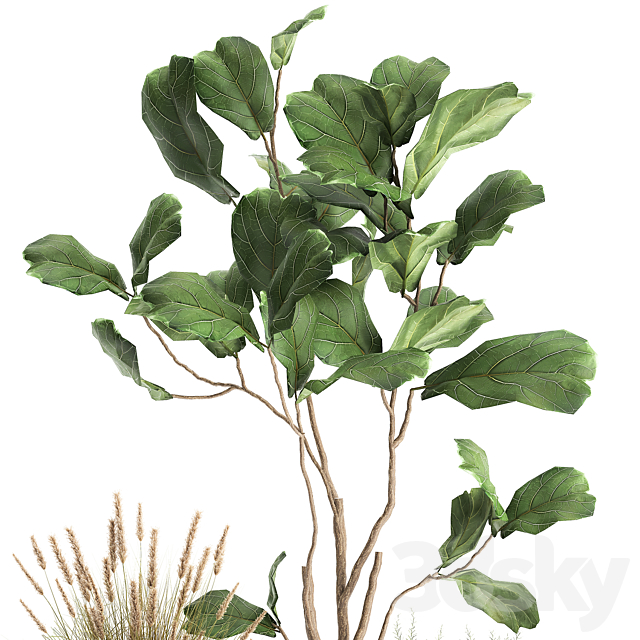 A collection of potted plants with a small Ficus lyrata tree with large leaves. Set 971. 3DSMax File - thumbnail 3