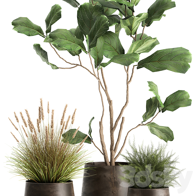 A collection of potted plants with a small Ficus lyrata tree with large leaves. Set 971. 3DSMax File - thumbnail 4