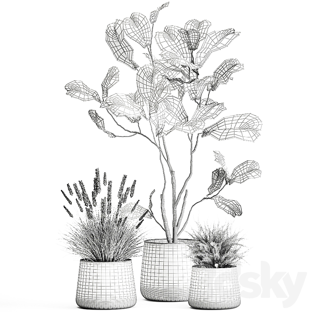A collection of potted plants with a small Ficus lyrata tree with large leaves. Set 971. 3DSMax File - thumbnail 6