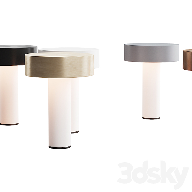 3D Model