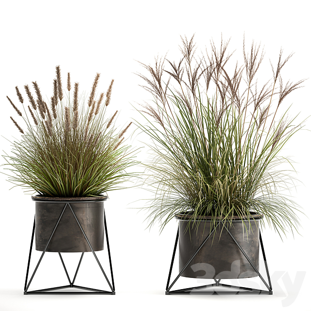 Collection of outdoor metal potted plants with Reeds. grass. bushes. weinik. Set 980. 3DSMax File - thumbnail 1