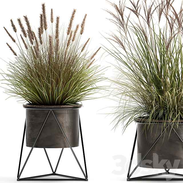 Collection of outdoor metal potted plants with Reeds. grass. bushes. weinik. Set 980. 3DSMax File - thumbnail 2